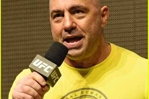 Joe Rogan Responds to Backlash After Sharing COVID Misinformation on His Spotify Podcast