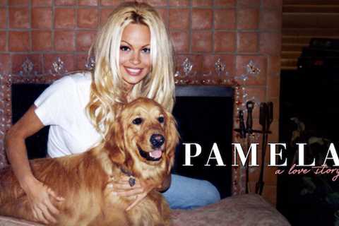 31st Jan: Pamela, a love story (2023), 1hr 54m [TV-MA] (6/10)