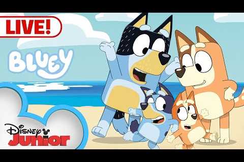 🔴 LIVE! Bluey Full Episodes | The Doctor, Keepy Uppy, Dance Mode, and MORE! |  @disneyjunior