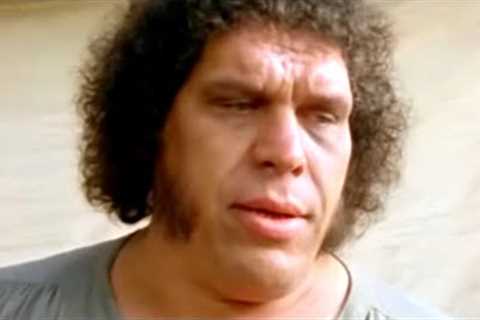 The Saddest Things About Andre The Giant's Life