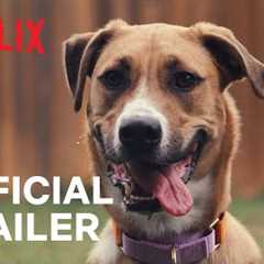 Inside the Mind of a Dog | Official Trailer | Netflix