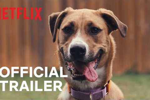 Inside the Mind of a Dog | Official Trailer | Netflix