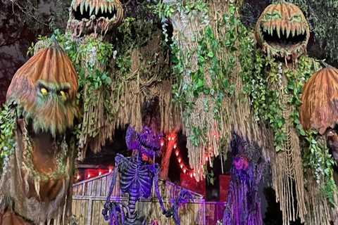 The Impact of Documentary Films in Lincoln Park, Michigan